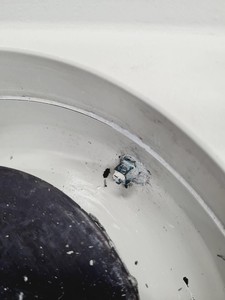 Thumbnail image of BUEHLER METASERV 2000 Grinder Polisher Lab