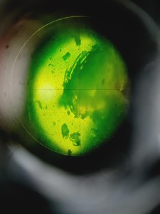 Thumbnail image of Carl Zeiss Axioskop EL Einsatz Microscope w/ 3 Objectives ACHROSTIGMAT Epiplan