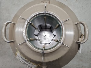 Thumbnail image of Jencons-PLS Taylor Wharton Model 4800RS Liquid Nitrogen Dewar Lab