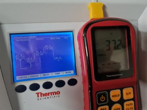 Thumbnail image of Thermo Scientific Type 5020 ARKTIK Thermal Cycler Lab