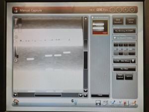 Thumbnail image of Syngene PXi 4 Touch Multi-Application Gel Imaging System Lab