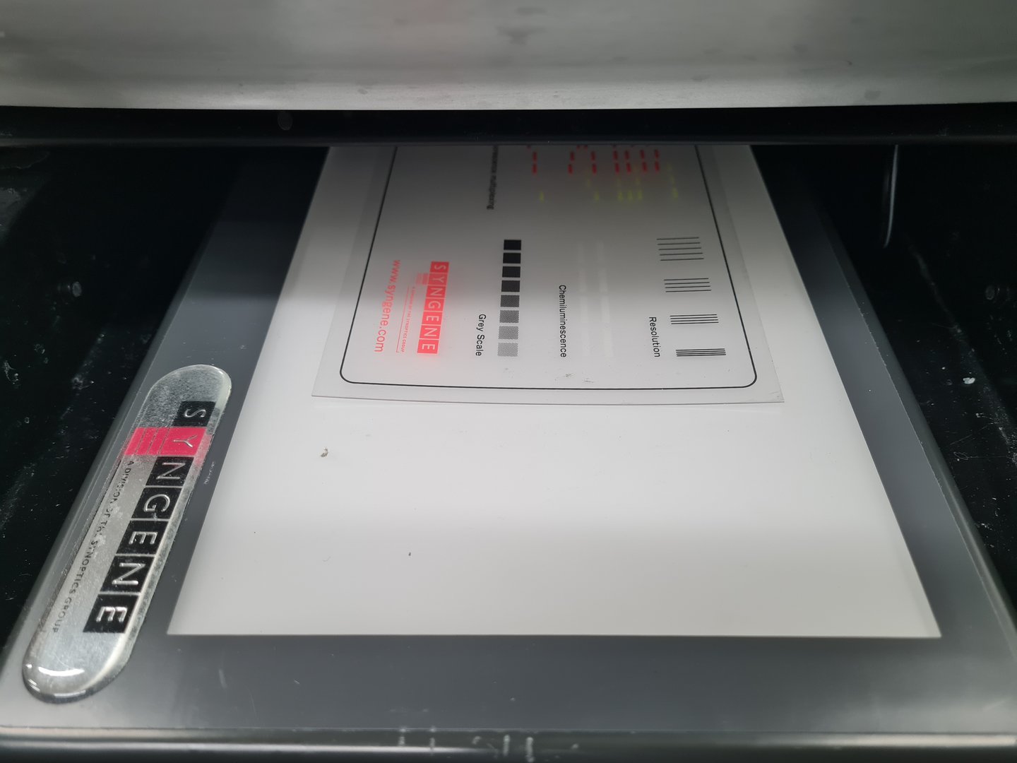 Image of Syngene PXi 4 Touch Multi-Application Gel Imaging System Lab