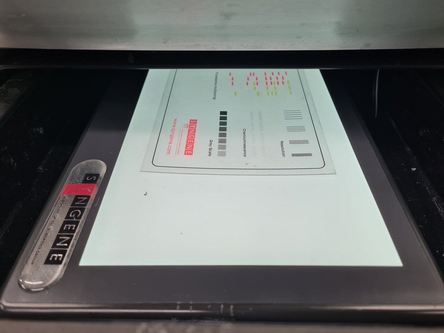 Image of Syngene PXi 4 Touch Multi-Application Gel Imaging System Lab