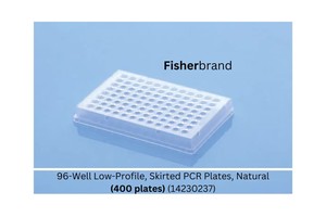 Thumbnail image of 400 x Fisherbrand Skirted PCR Plates, 96-Well Low-Profile, Natural