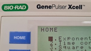 Thumbnail image of Bio-Rad Gene Pulser Xcell Microbial System with CE Module & Shock Chamber