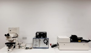 Image of Zeiss Axioplan 2 Microscope + LSM 510 Laser Scanning System Lab
