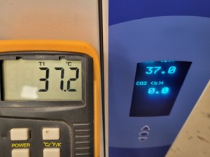 Thumbnail image of Thermo Scientific Midi 40 3404 CO2 Benchtop Laboratory Incubator Lab