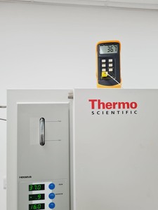 Thumbnail image of Thermo Scientific Heraeus Cytoperm 2 CO2 Incubator Lab