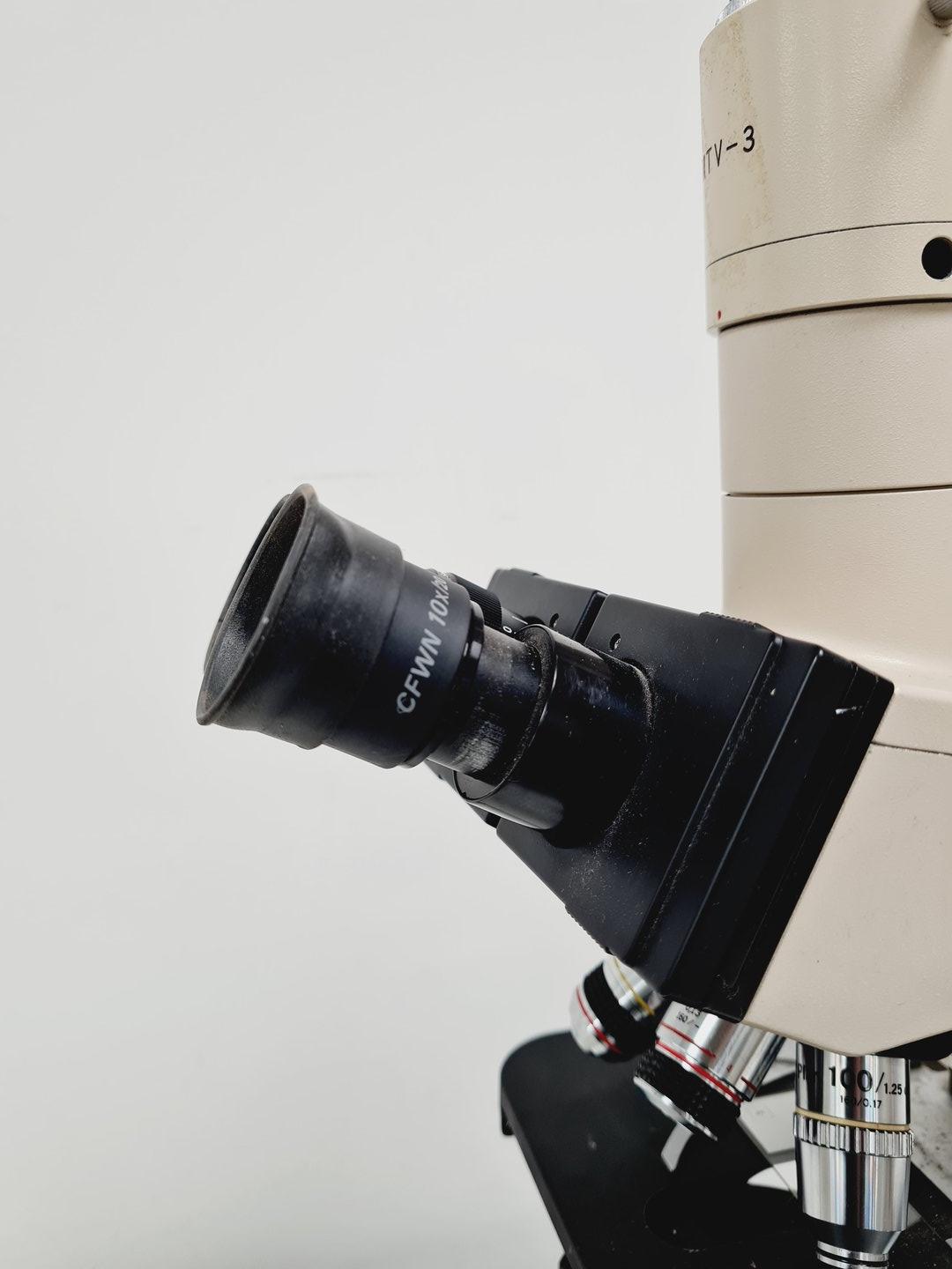 Image of Olympus BH-2 Compound Microscope w/ 5 x Objectives Lab