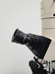 Thumbnail image of Olympus BH-2 Compound Microscope w/ 5 x Objectives Lab
