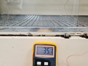 Thumbnail image of LEEC F1 Glassware Drying Cabinet Warming Oven Lab