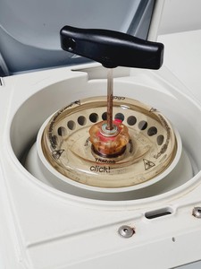 Thumbnail image of Thermo Heraeus Pico 17 Centrifuge w/ 75003424 Fixed Angle Rotor Lab