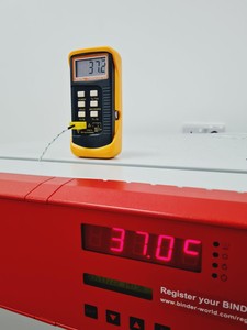 Thumbnail image of Binder KB 115 Laboratory Cooling Incubator Lab