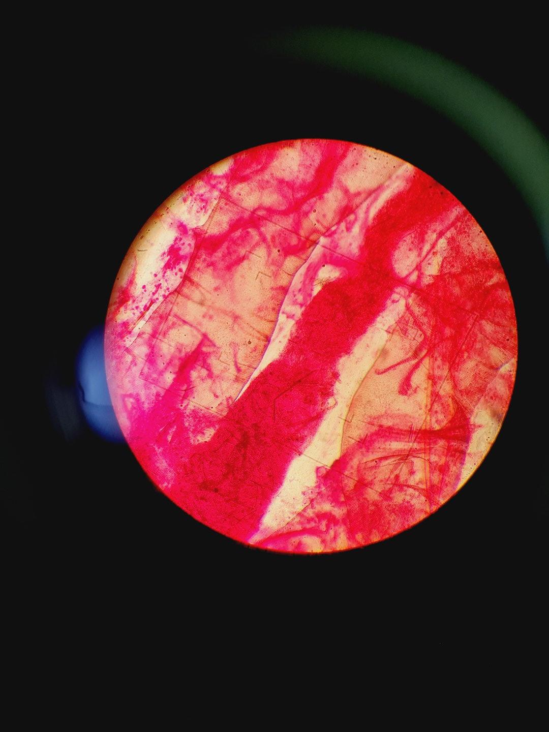 Image of Nikon Optiphot Microscope, Model H-III, FDX-35, HBO 100W, 5 x Objectives Lab