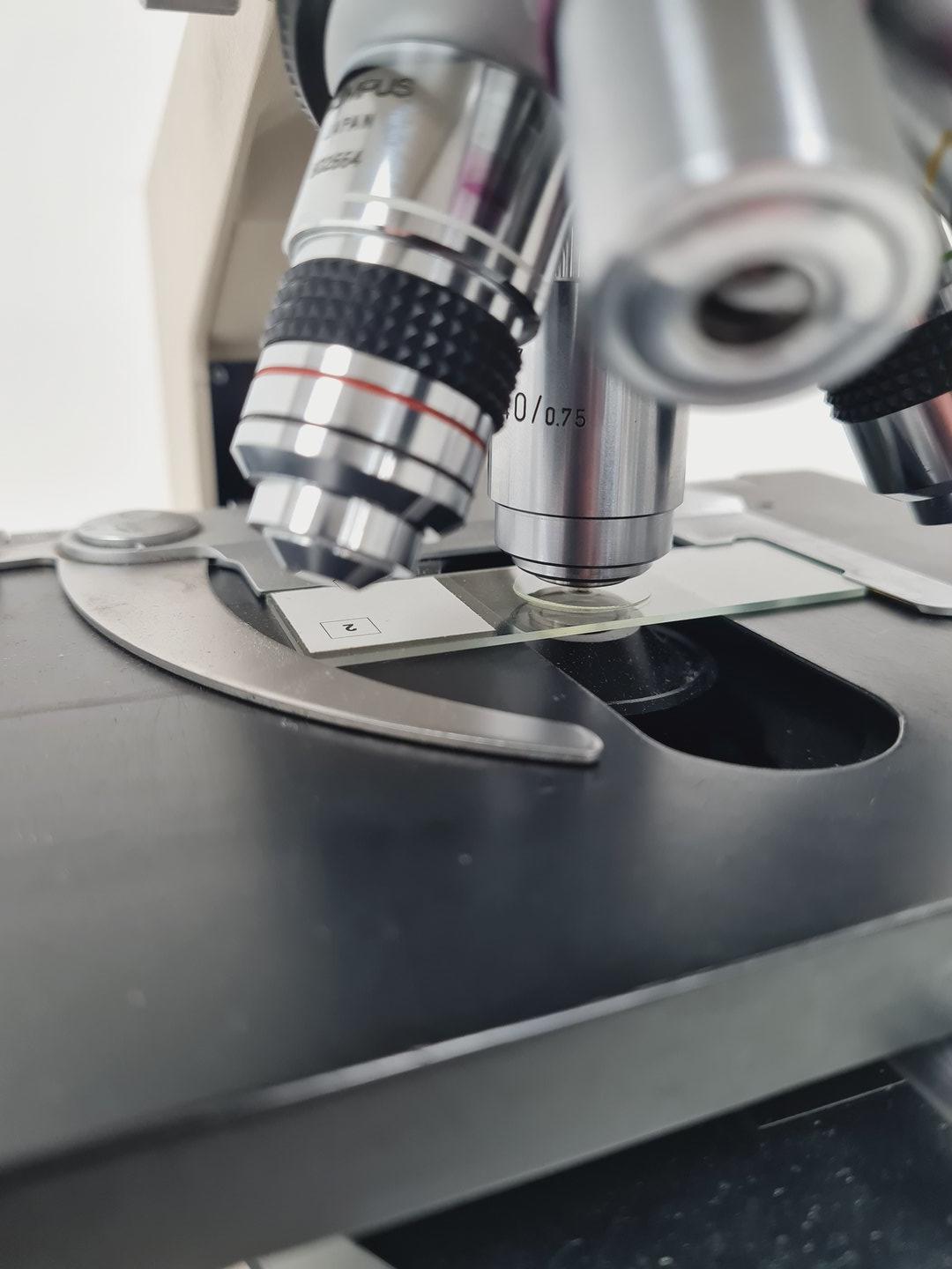 Image of Olympus BH-2 Compound Microscope with 4 x Objectives Lab