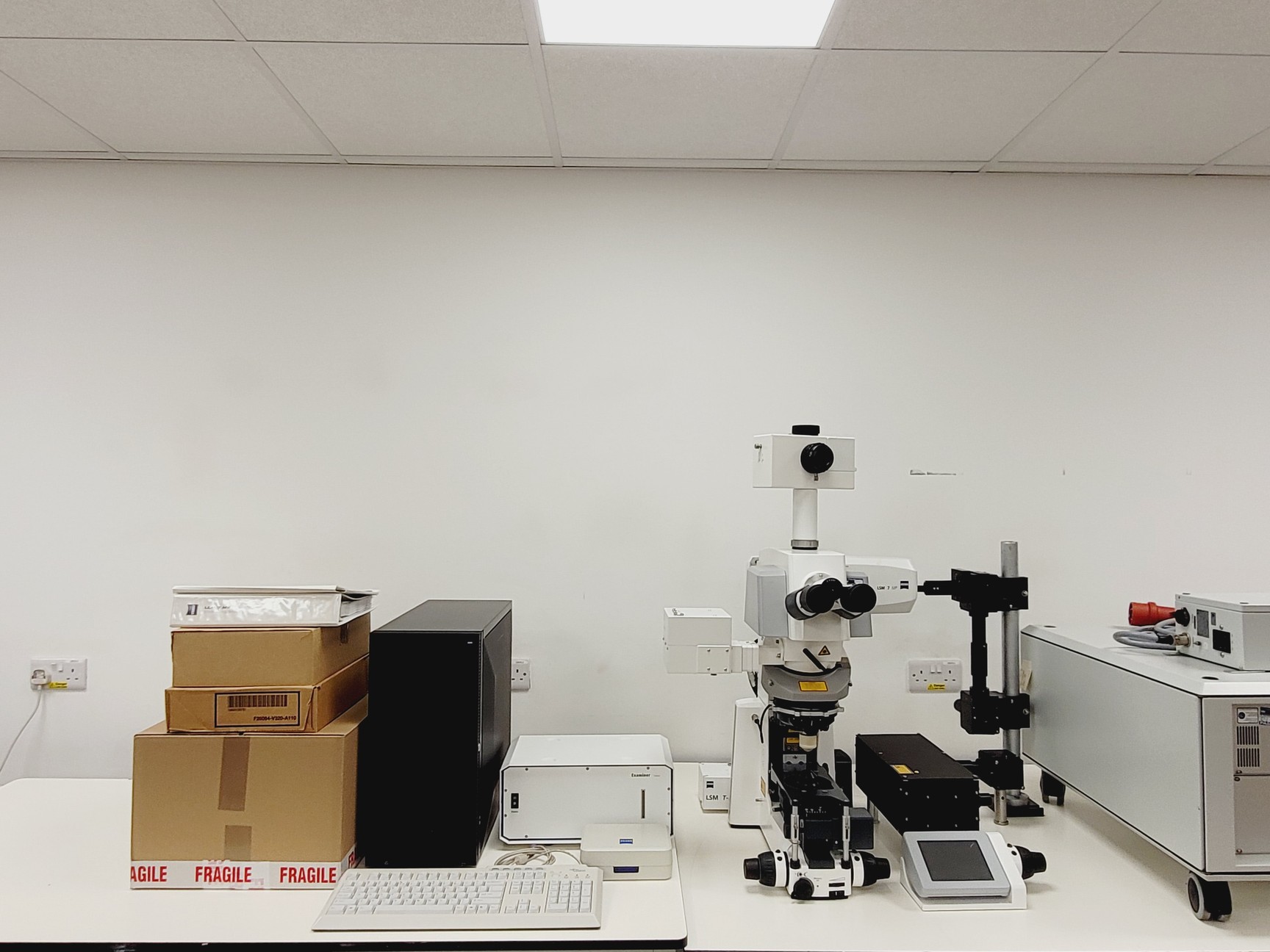 Image of Zeiss Axio Examiner.Z1 Fluorescence Motorised Microscope LSM 7 FaultyMP Imaging