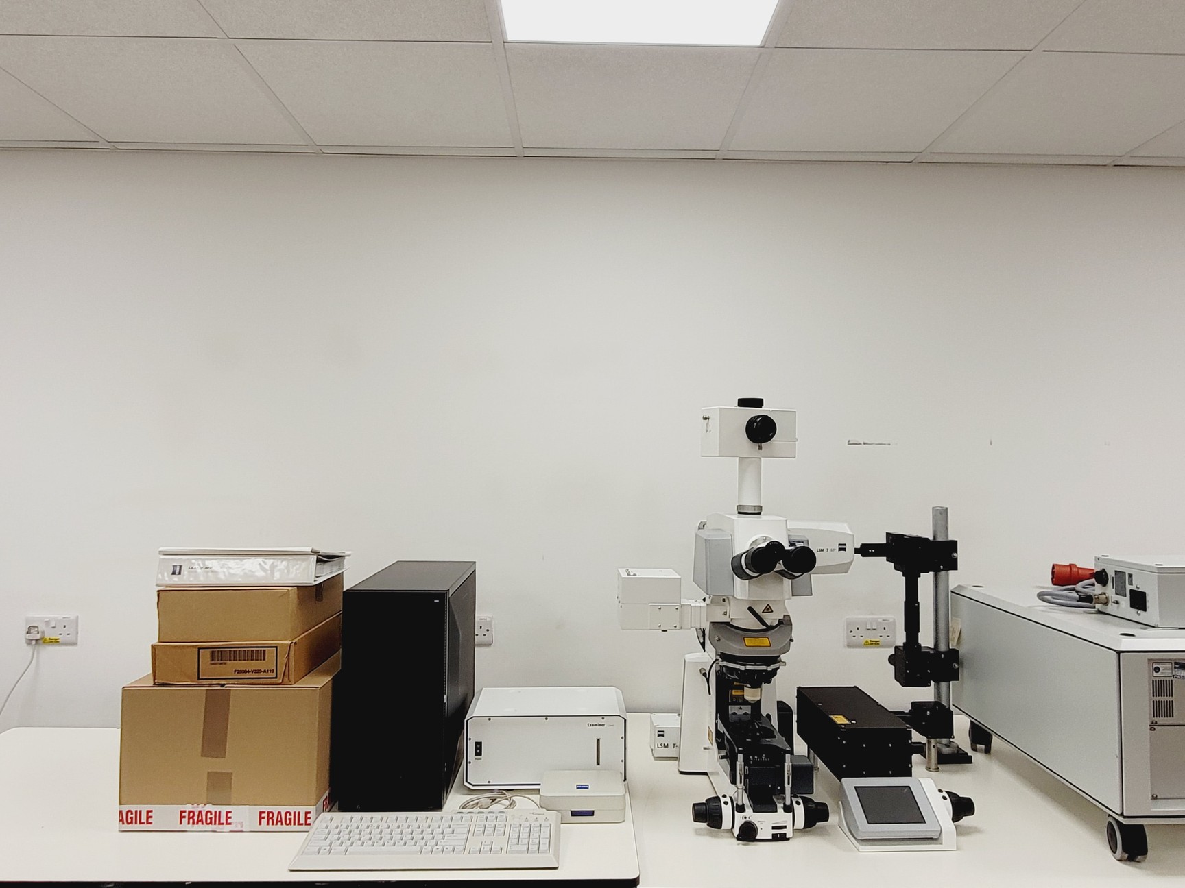 Image of Zeiss Axio Examiner.Z1 Fluorescence Motorised Microscope LSM 7 FaultyMP Imaging