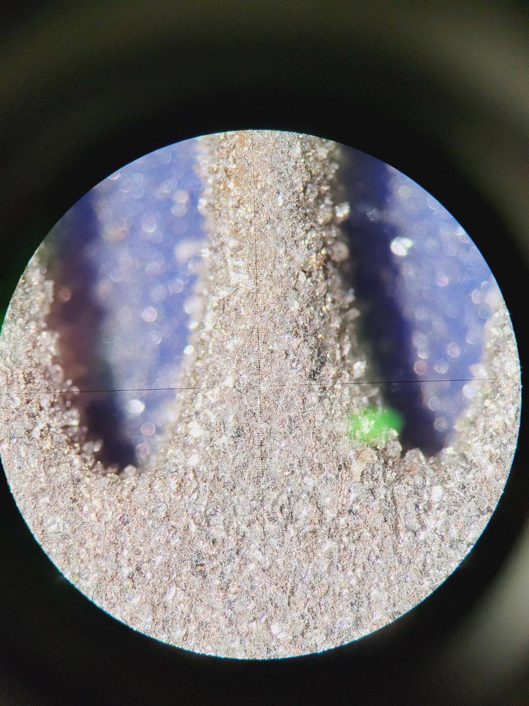 Image of Zeiss SteREO Discovery.V8 w/  CRI90 Cold Light Source, PC & Software Lab