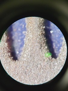 Thumbnail image of Zeiss SteREO Discovery.V8 w/  CRI90 Cold Light Source, PC & Software Lab