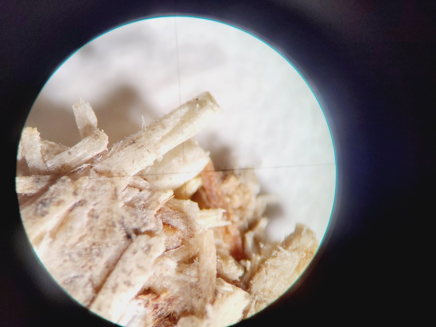 Image of Zeiss SteREO Discovery.V8 w/  CRI90 Cold Light Source, PC & Software Lab