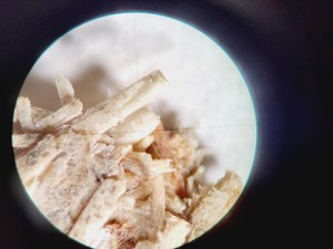 Thumbnail image of Zeiss SteREO Discovery.V8 w/  CRI90 Cold Light Source, PC & Software Lab