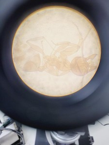 Thumbnail image of Thermo Nicolet Nexus 470 Spectra Tech IR-Plan Infrared Microscope