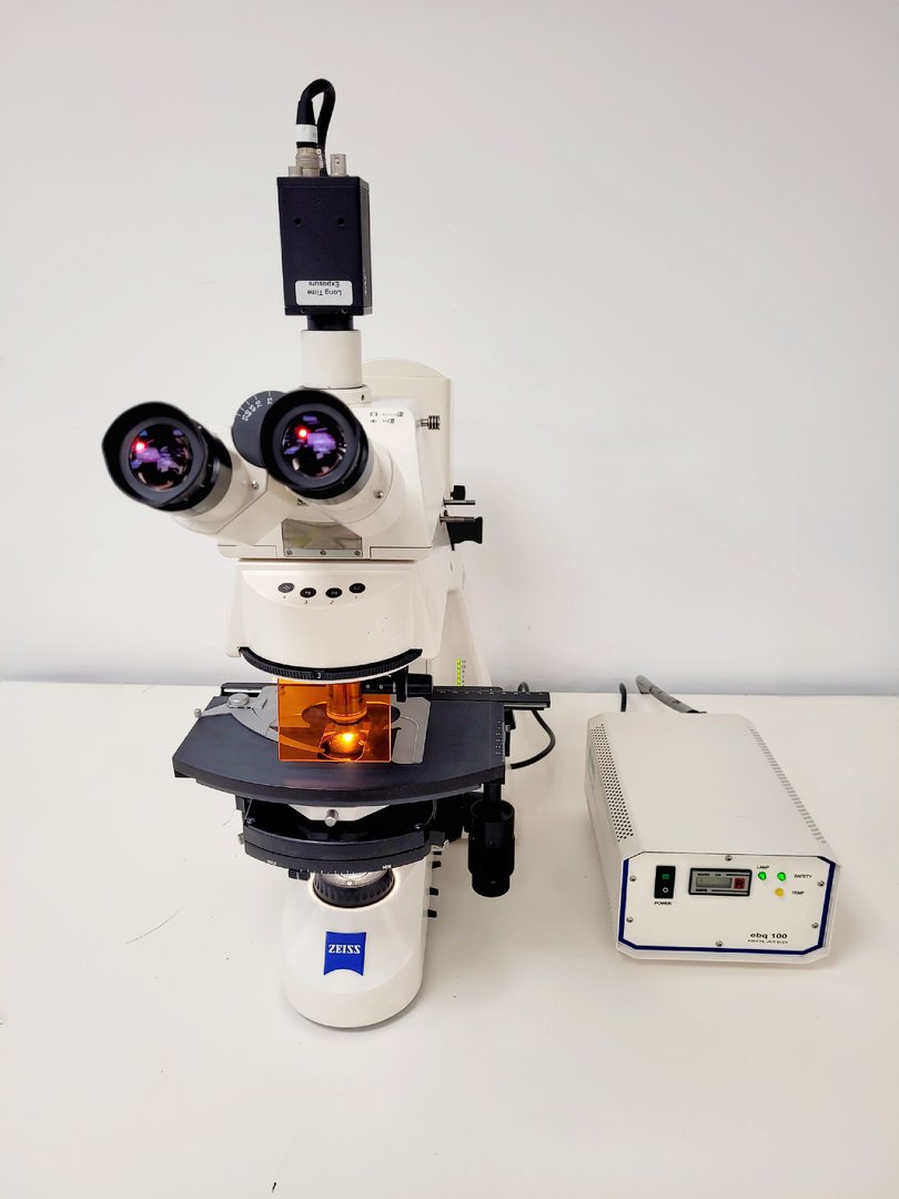 Image of Zeiss Axioskop 2 Fluorescence Microscope Lab