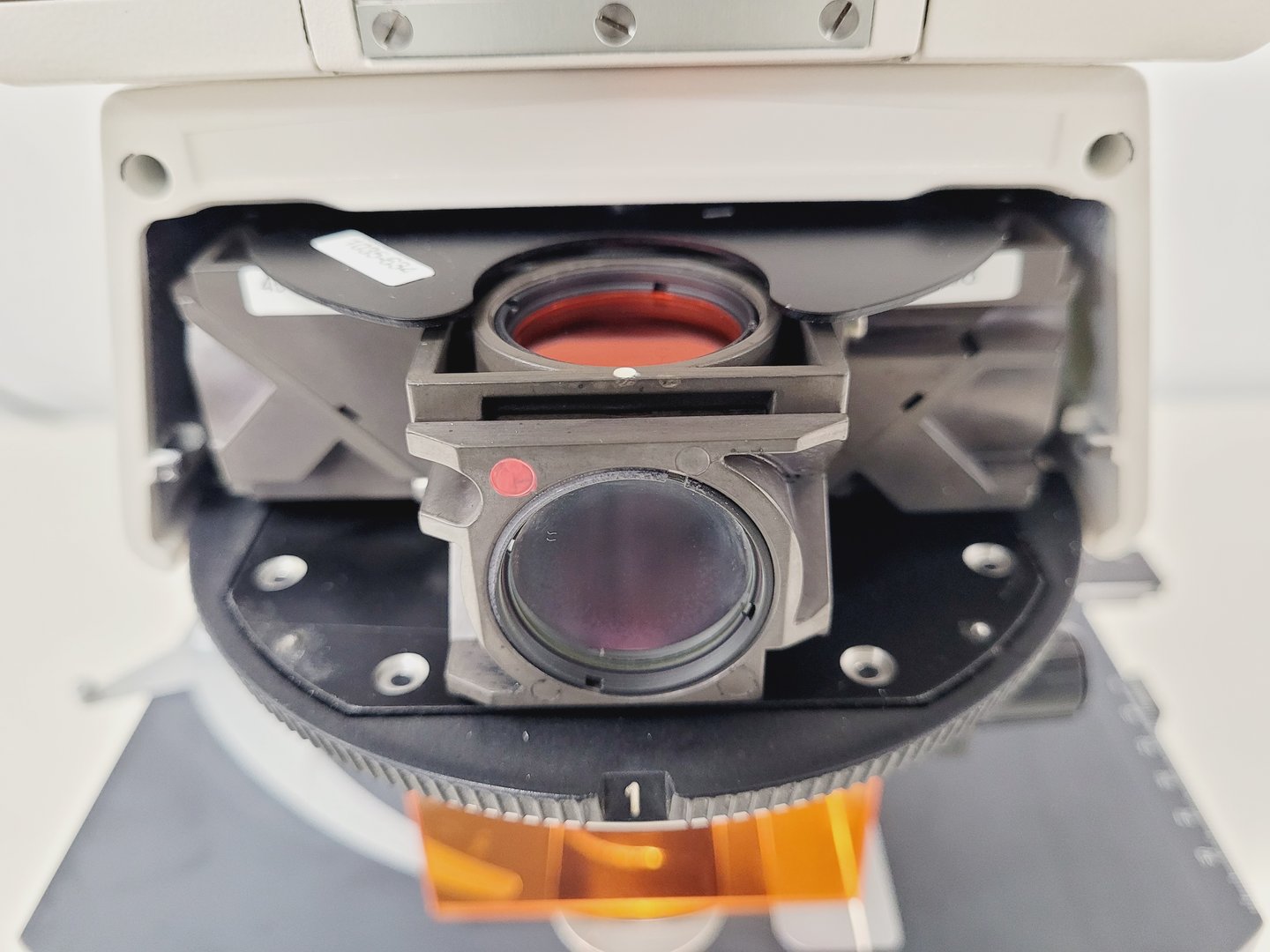 Image of Zeiss Axioskop 2 Fluorescence Microscope Lab