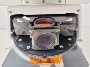 Thumbnail image of Zeiss Axioskop 2 Fluorescence Microscope Lab