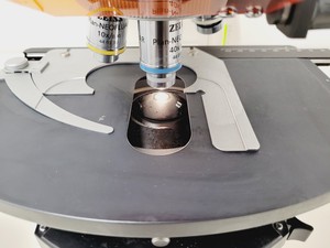 Thumbnail image of Zeiss Axioskop 2 Fluorescence Microscope Lab