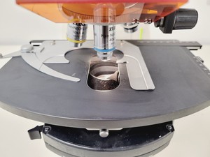 Thumbnail image of Zeiss Axioskop 2 Fluorescence Microscope Lab