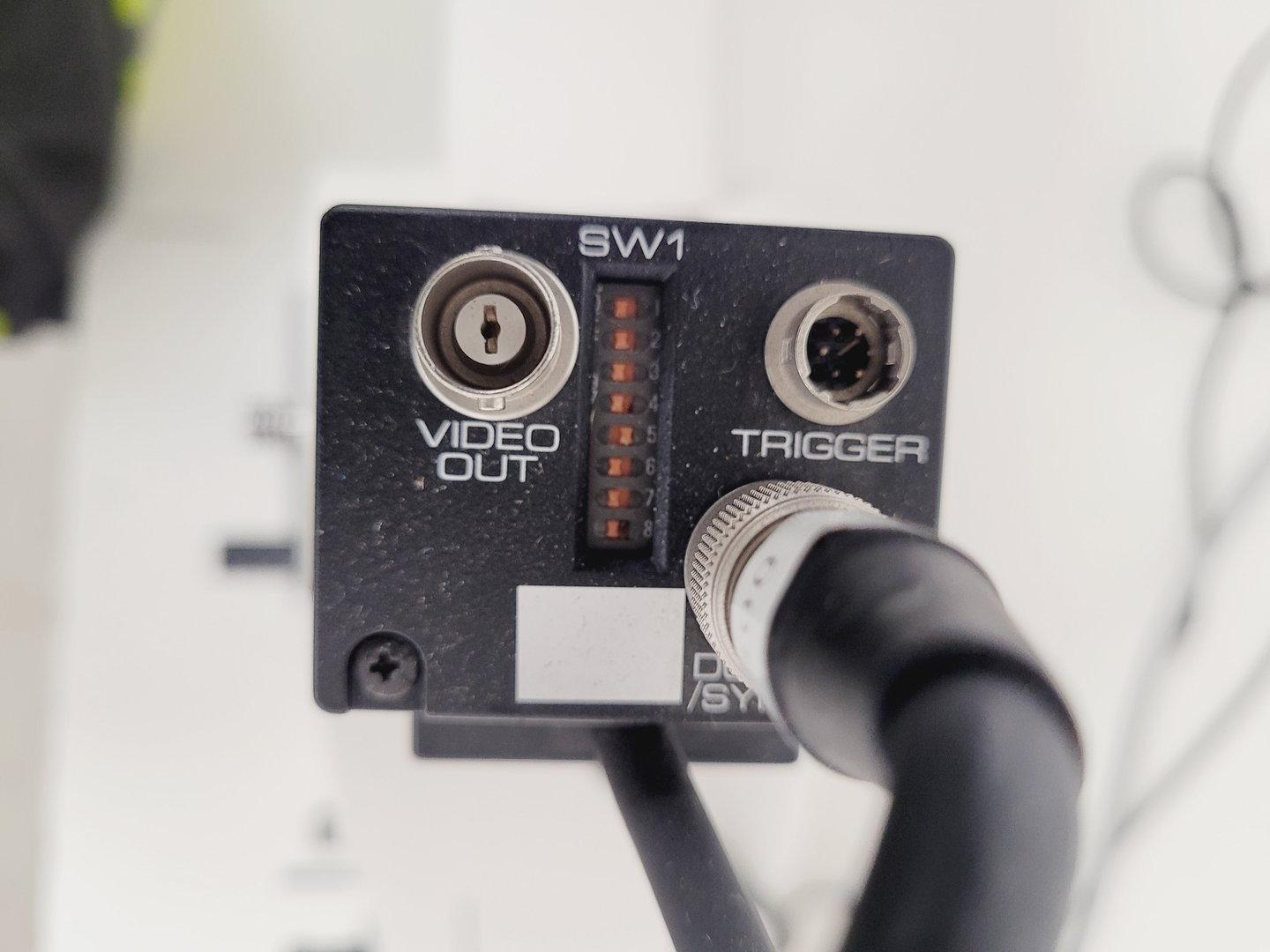 Image of Zeiss Axioskop 2 Fluorescence Microscope Lab