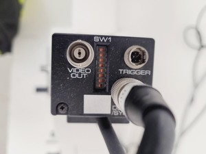 Thumbnail image of Zeiss Axioskop 2 Fluorescence Microscope Lab