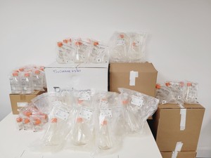 Image of Pallet of Corning Assorted Plastic Erlenmeyer Flasks 43114 431433 Mixed Sizes