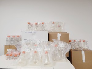 Thumbnail image of Pallet of Corning Assorted Plastic Erlenmeyer Flasks  43114 431433 Mixed Sizes 