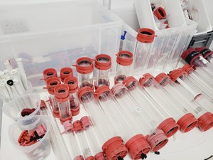 Thumbnail image of Pharmacia Biotech Chromatography Column XK and GE HiScale Assorted Parts