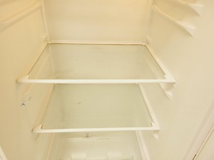 Thumbnail image of Beko TLDA 521 9.2 cu.ft. Tall Larder Refrigerator Lab
