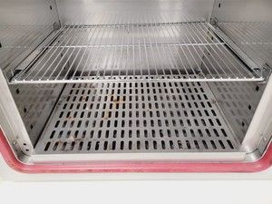 Thumbnail image of LTE Scientific IP100-U Laboratory Incubator Lab