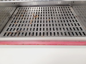 Thumbnail image of LTE Scientific IP100-U Laboratory Incubator Lab