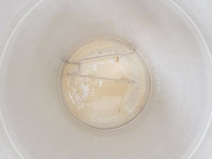 Thumbnail image of Prestige Medical Series 2100 Clinical Autoclave Lab