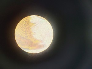 Thumbnail image of Leitz Wetzlar Ortholux II Microscope Lab