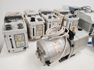 Thumbnail image of Job Lot of 11 Laboratory Vacuum Pumps Edwards Leybold Trivac Lab