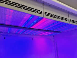 Thumbnail image of Percival I-30LEDL3 Environmental Control Chamber Lab