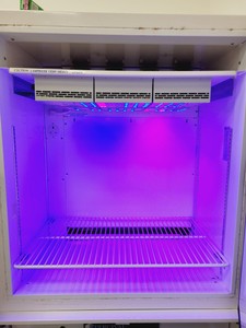 Thumbnail image of Percival I-30LEDL3 Environmental Control Chamber Lab