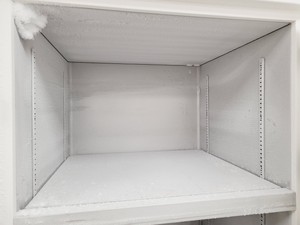 Thumbnail image of New Brunswick Scientific Ultra Low Temperature Freezer U535 -86 Lab