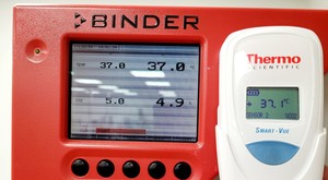 Thumbnail image of Binder CB 150 CO2 Incubator Double Stack Lab