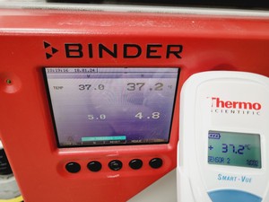 Thumbnail image of Binder CB 150 CO2 Incubator Double Stack Lab