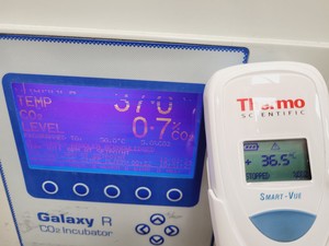 Thumbnail image of RS Biotech Galaxy R CO2 Laboratory Incubator Model 170-300 Lab