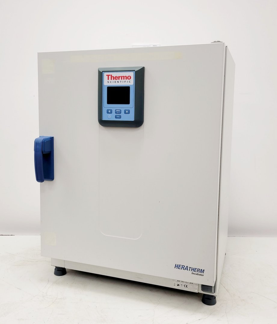 Image of Thermo Scientific Heratherm IGS100 General Protocol Microbiological Incubator