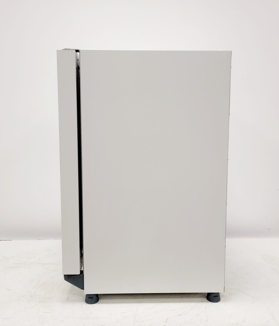 Image of Thermo Scientific Heratherm IGS100 General Protocol Microbiological Incubator